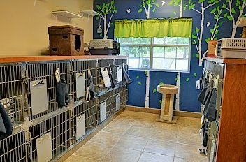 Pet boarding facility